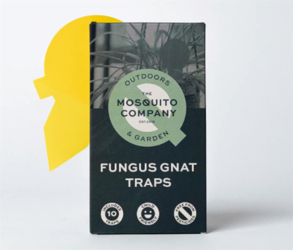 Fungus Gnat Sticky Traps